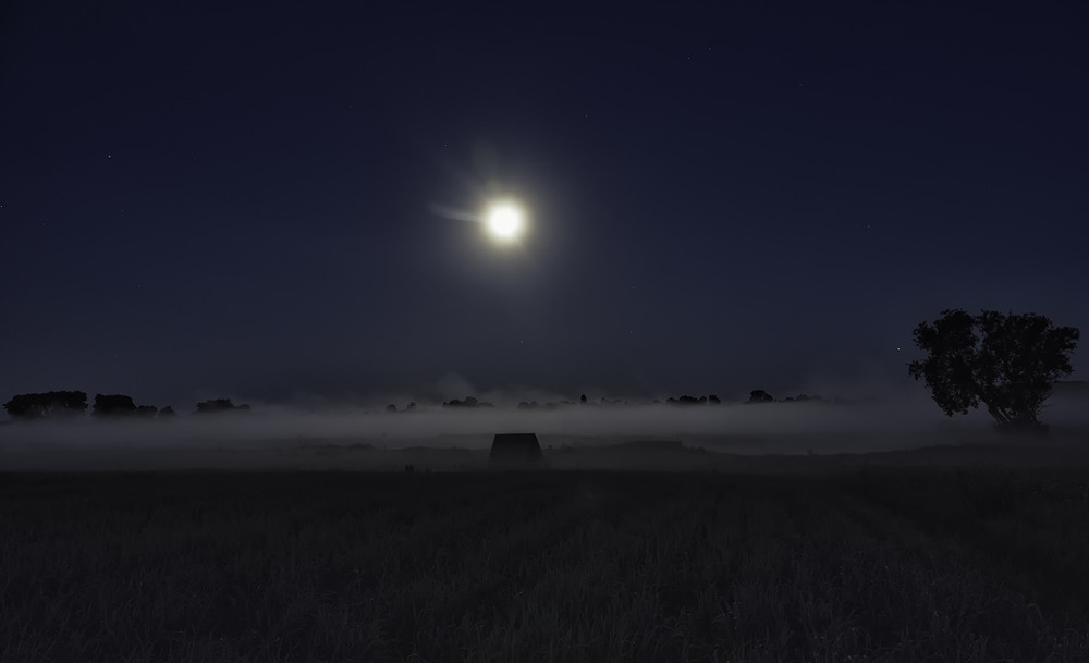 Фотографія Ніч яка місячна... / Farernik / photographers.ua
