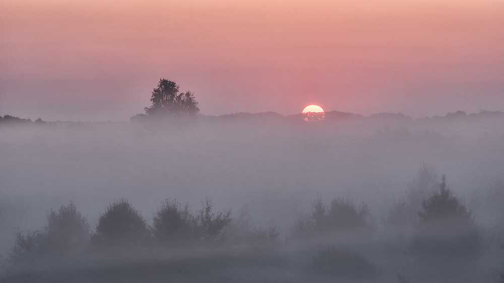 Фотографія Миколині тумани - Є тільки мить... / Farernik / photographers.ua