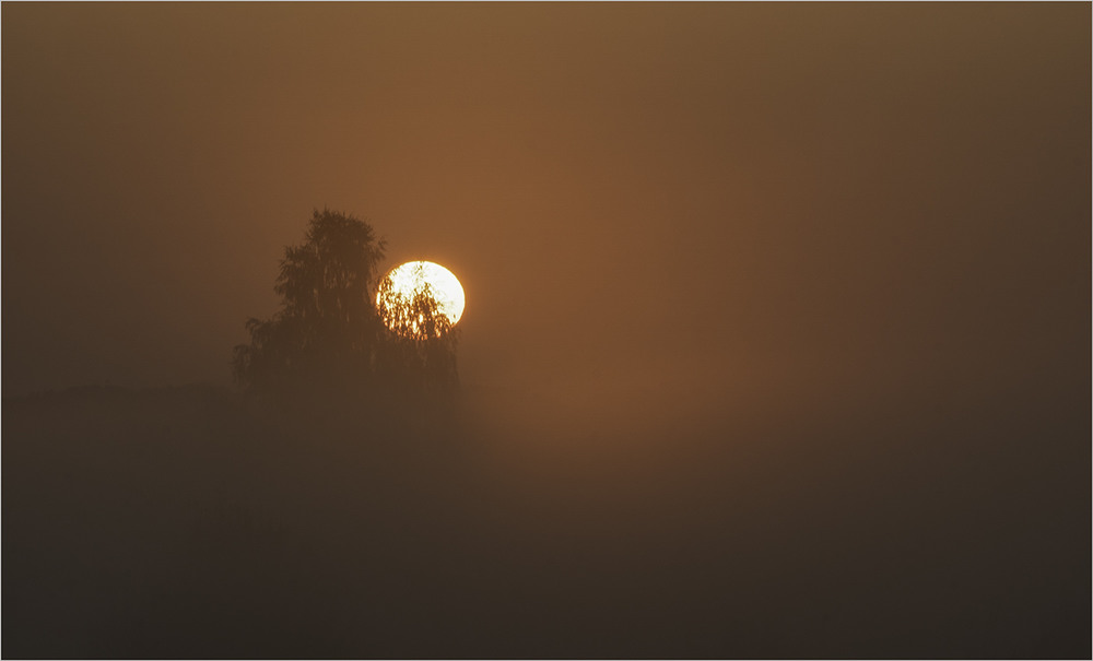 Фотографія Сонце в тумані... / Farernik / photographers.ua