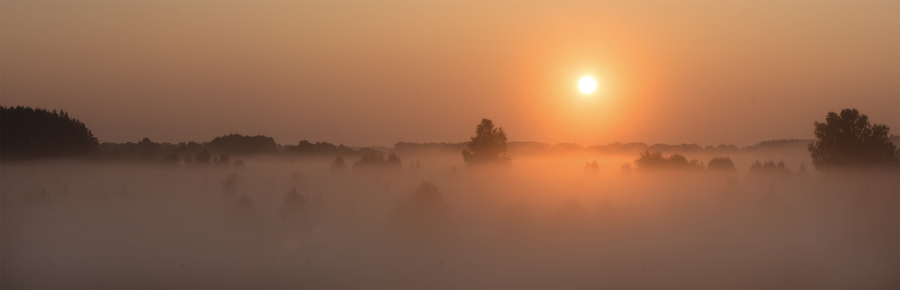 Фотографія Миколині тумани... / Farernik / photographers.ua