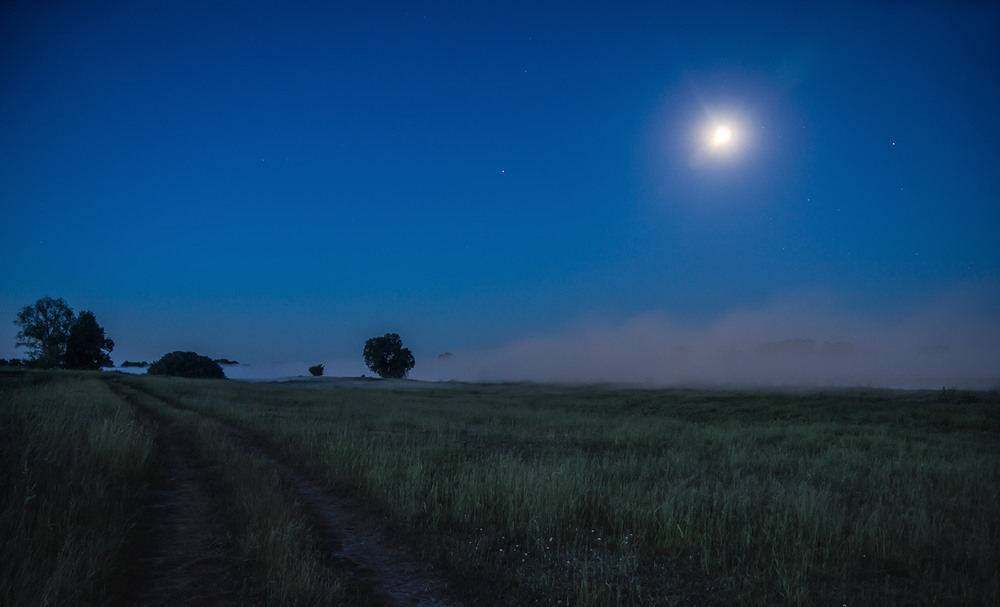 Фотографія По ранковій дорозі місячне  колесо місячно котиться... / Farernik / photographers.ua