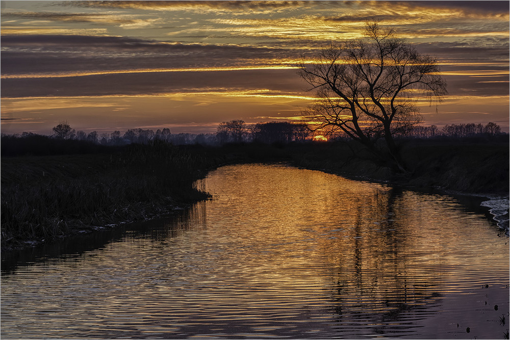 Фотографія *** / Farernik / photographers.ua