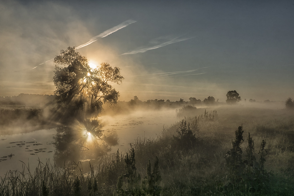 Фотографія Іду я росами...Миколині тумани. / Farernik / photographers.ua