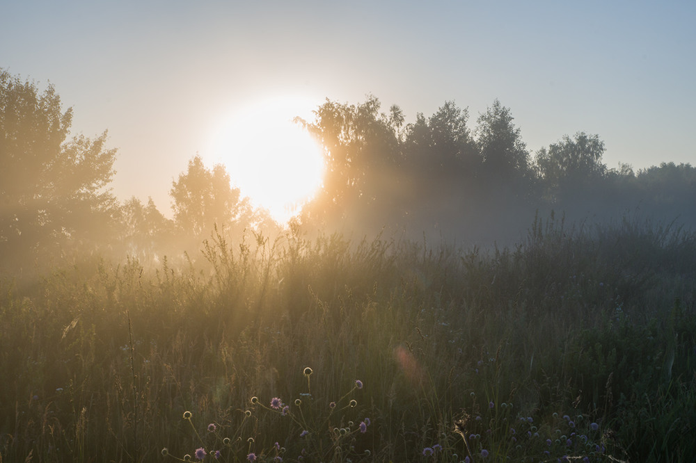 Фотографія Сонячним ранком... / Farernik / photographers.ua