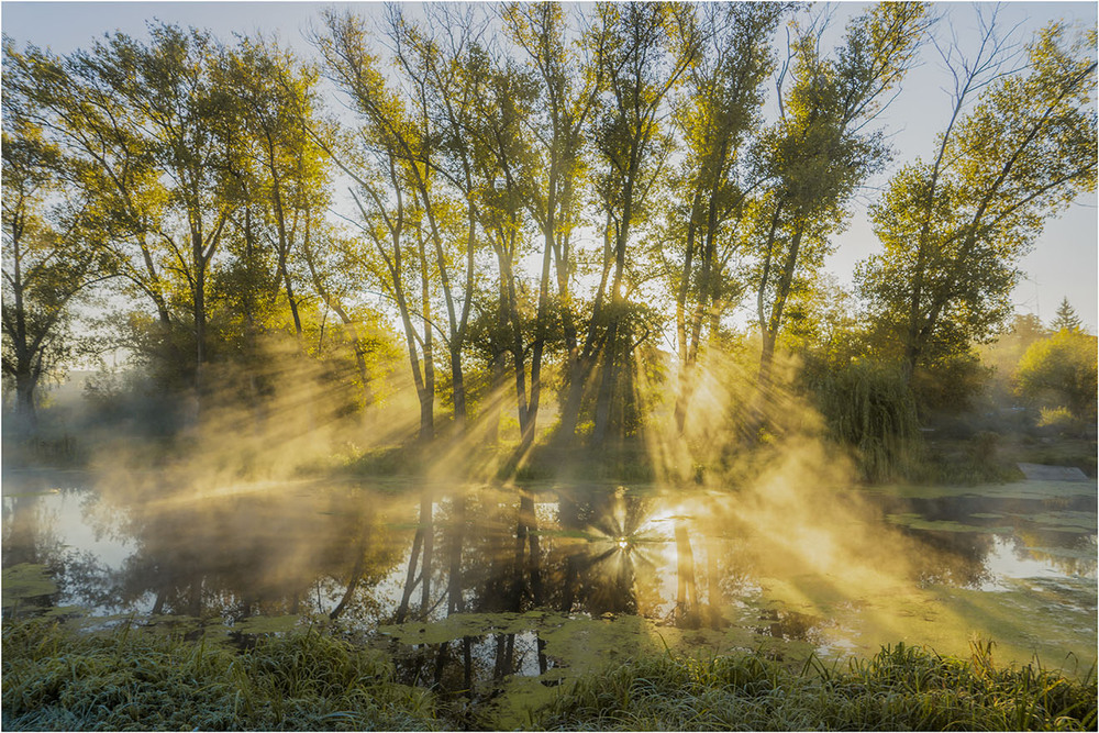 Фотографія Сонячний ранок... / Farernik / photographers.ua