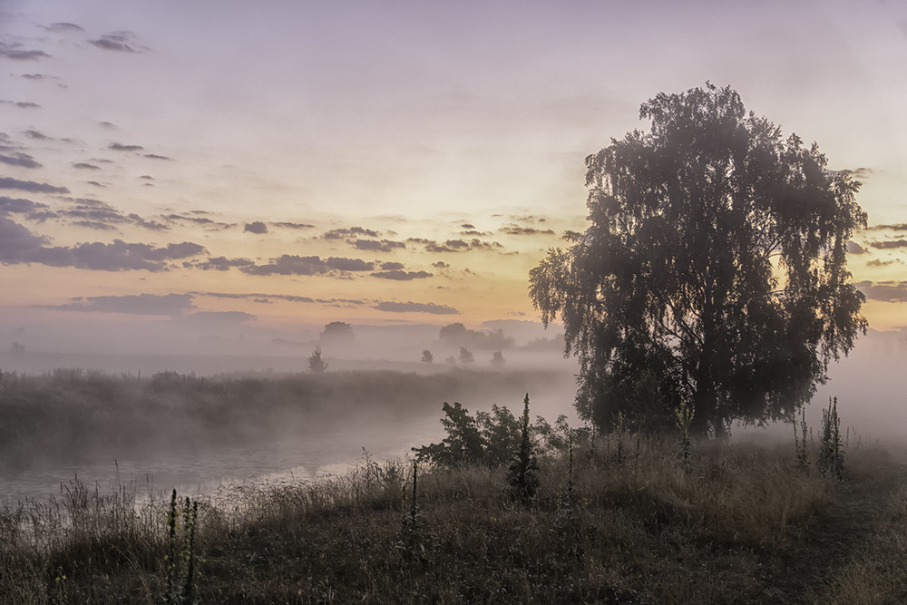 Фотографія Миколині тумани... / Farernik / photographers.ua