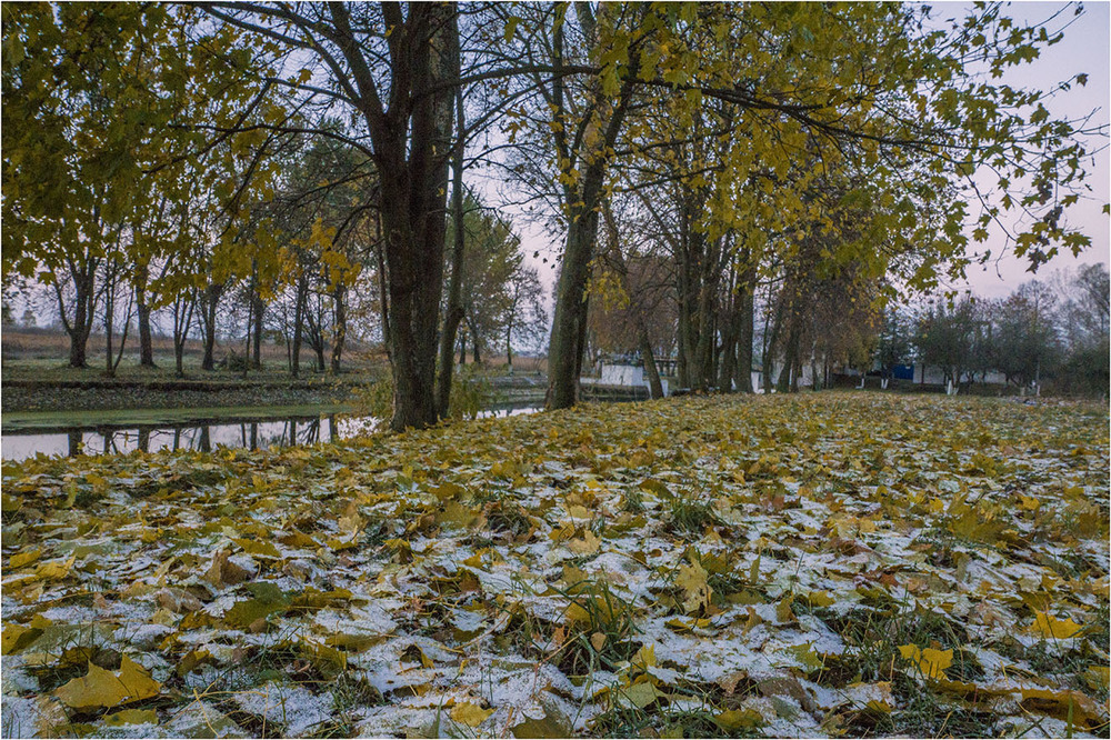 Фотографія На межі осені й зими... / Farernik / photographers.ua