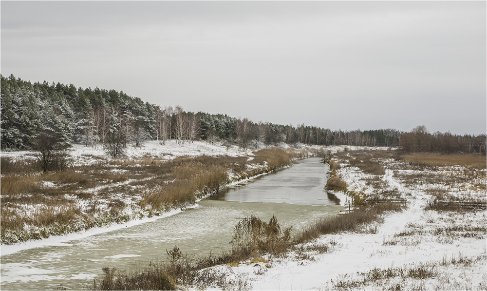 Фотографія Зимовий день... / Farernik / photographers.ua