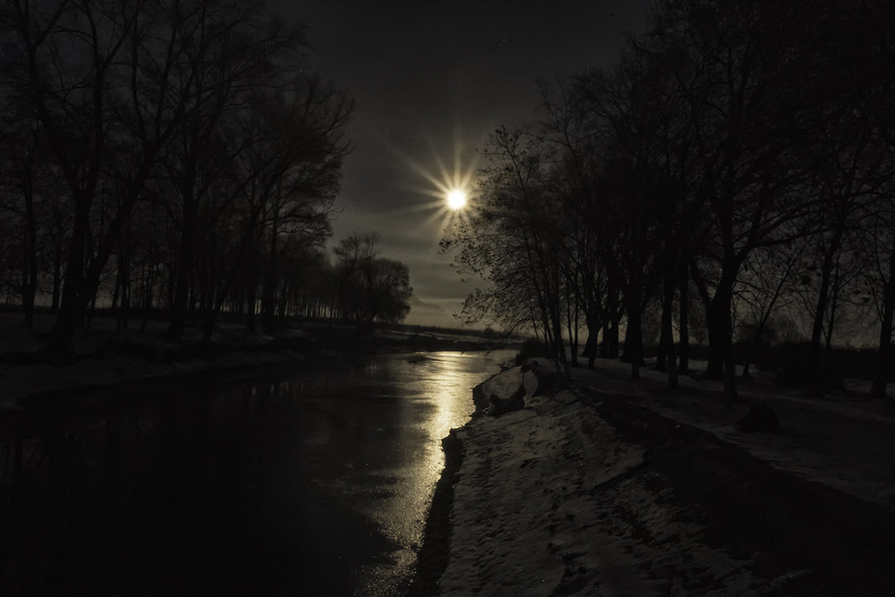 Фотографія Ніч яка місячна... / Farernik / photographers.ua