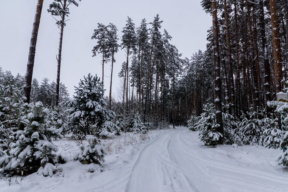 Фотографія Справжня зима... / Farernik / photographers.ua