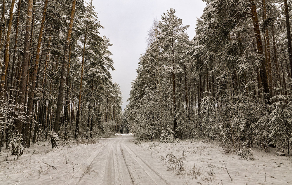 Фотографія Зима... / Farernik / photographers.ua