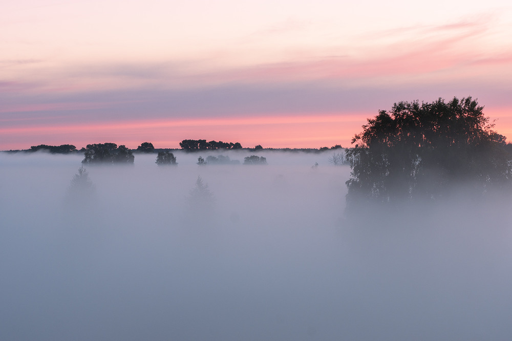 Фотографія Перші в цьому році "Миколині тумани" / Farernik / photographers.ua