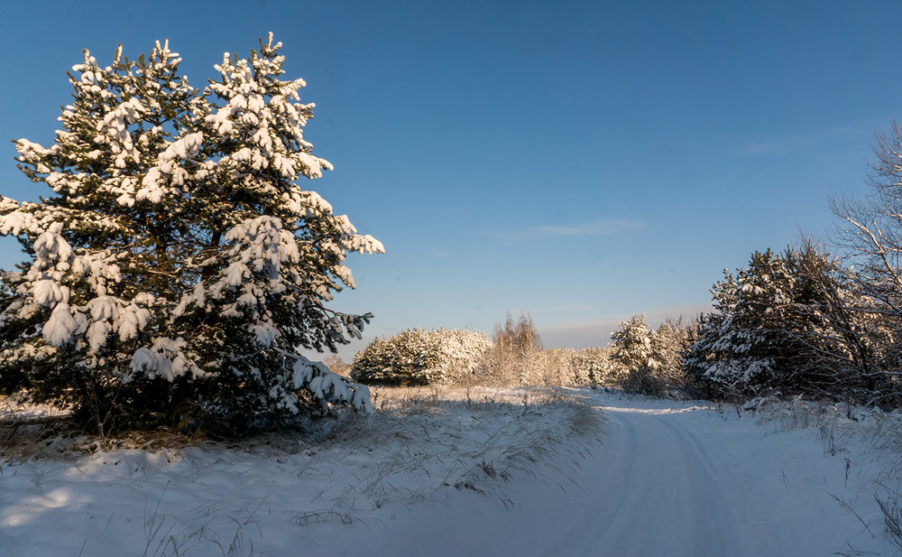 Фотографія Зимовими дорогами... / Farernik / photographers.ua