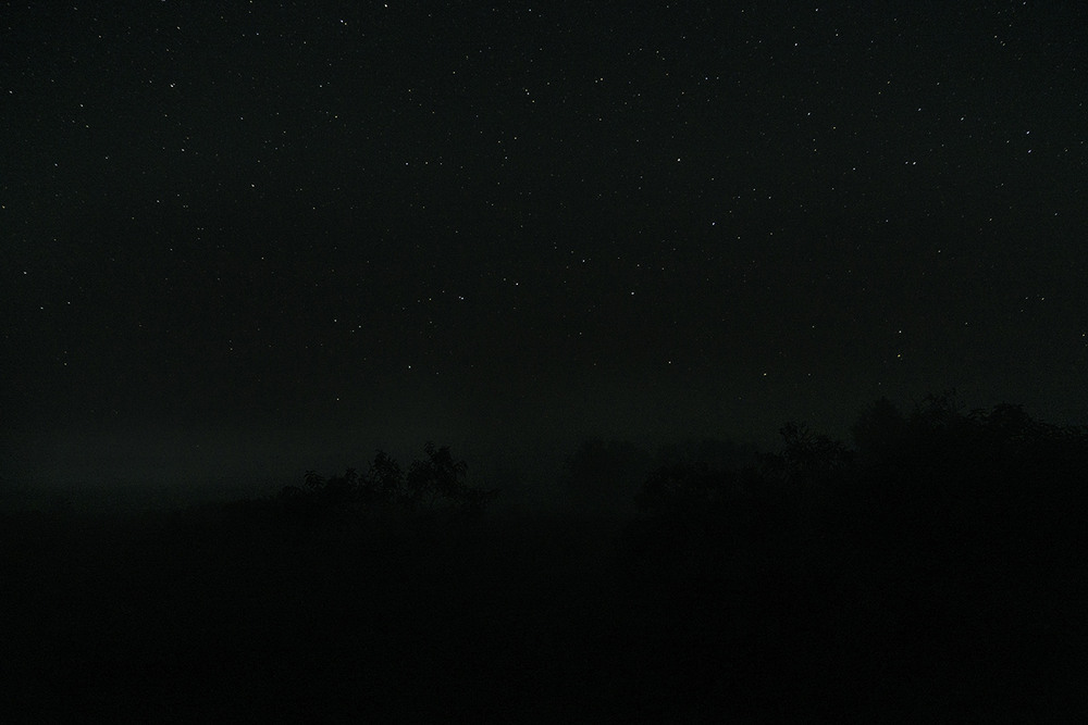 Фотографія Деснянські зорі... / Farernik / photographers.ua