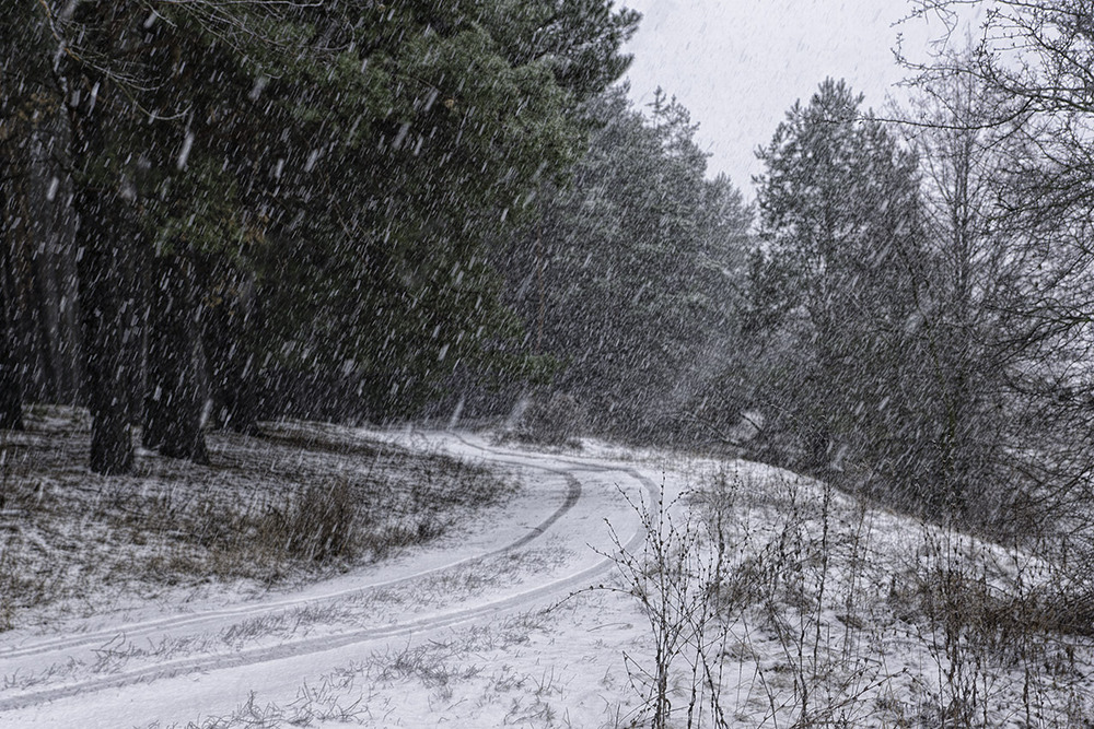 Фотографія Снігопад... / Farernik / photographers.ua