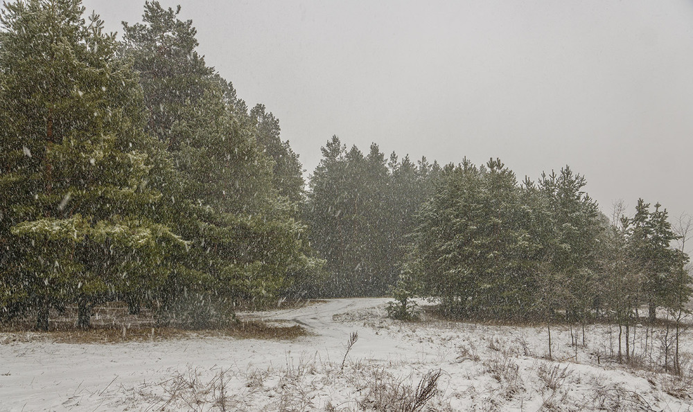 Фотографія Снігопад, снігопад... / Farernik / photographers.ua