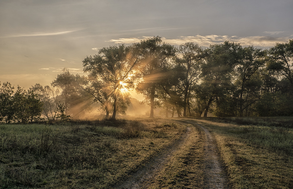 Фотографія Дорога в ранок... "Миколині тумани" / Farernik / photographers.ua