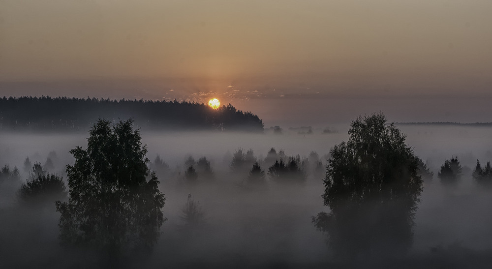 Фотографія Миколині тумани... / Farernik / photographers.ua