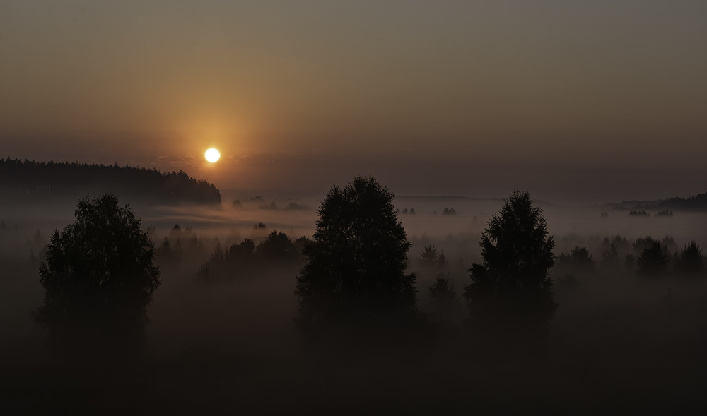 Фотография Миколині тумани... / Farernik / photographers.ua