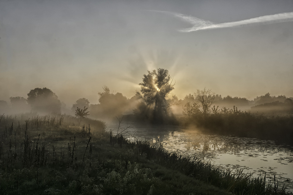 Фотографія Миколині тумани... / Farernik / photographers.ua