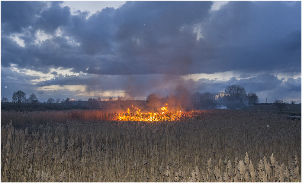 Фотографія Пожар на закате / Farernik / photographers.ua