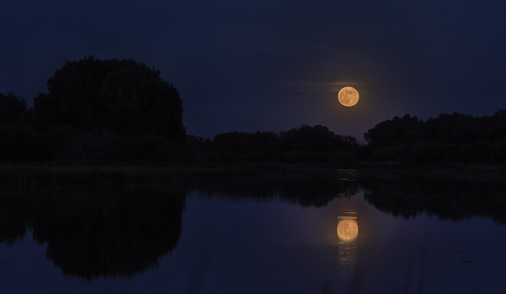 Фотографія І блідий місяць на ту пору... / Farernik / photographers.ua