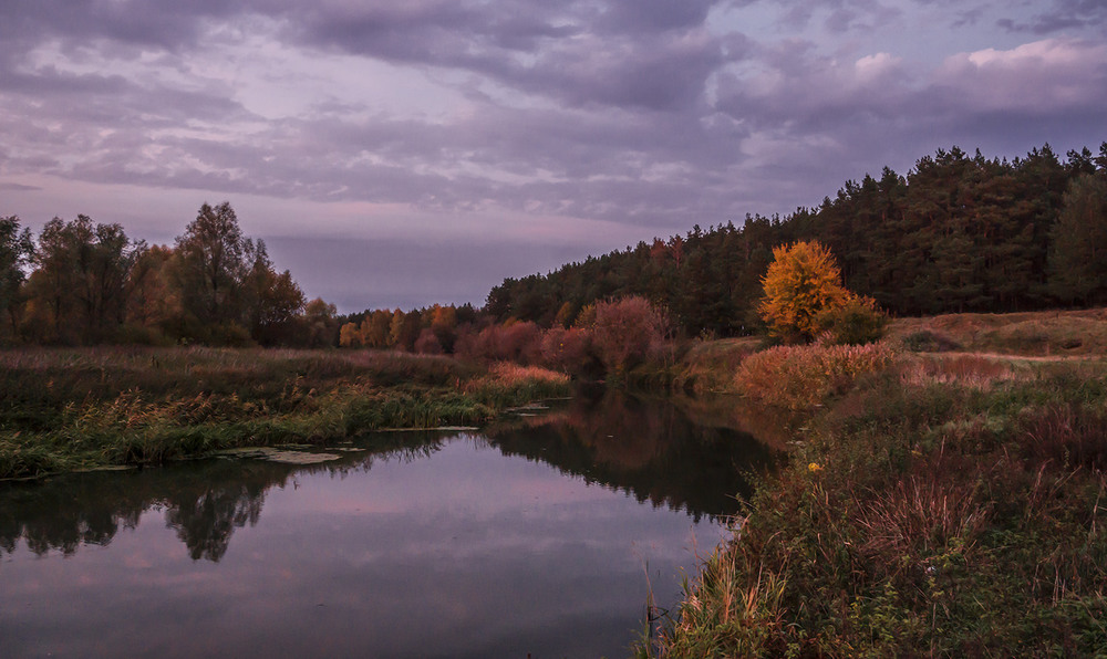 Фотографія У світлі заходу... / Farernik / photographers.ua