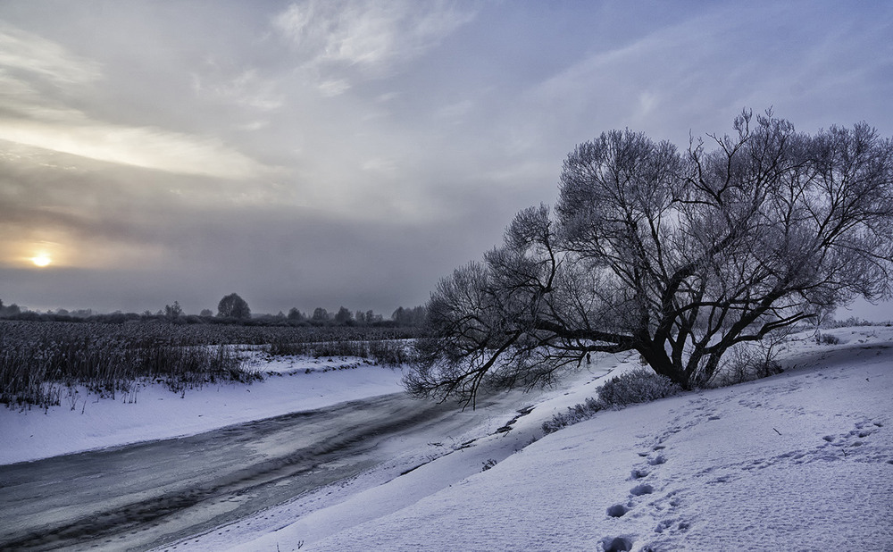 Фотографія Залишити слід... / Farernik / photographers.ua