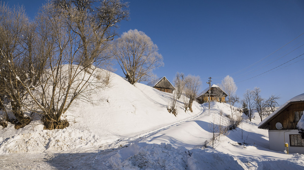 Фотографія Справжня зима / Farernik / photographers.ua