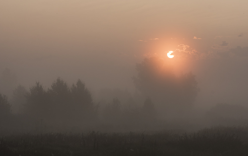 Фотографія "Миколини тумани" / Farernik / photographers.ua