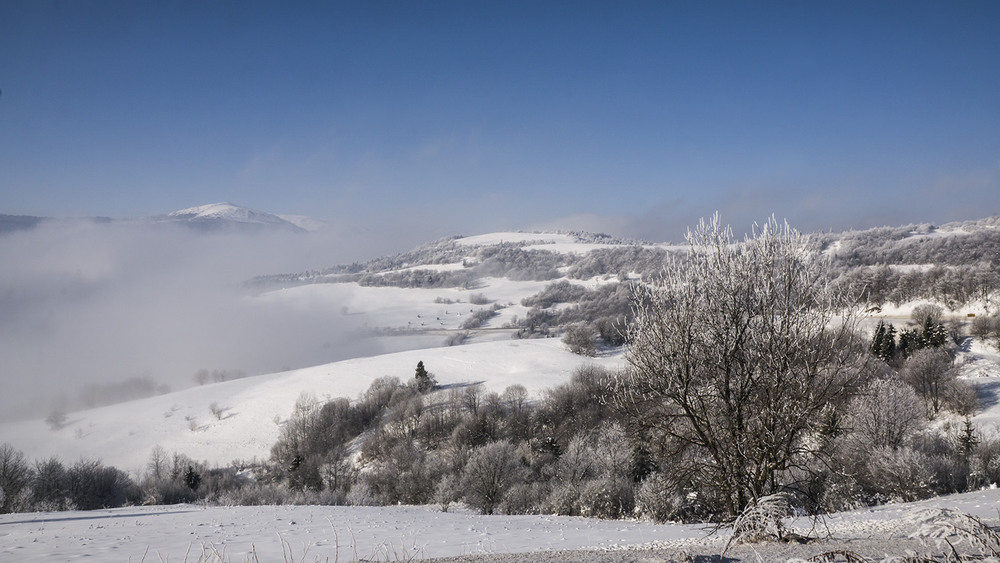 Фотографія Мороз і сонце, і туман... / Farernik / photographers.ua