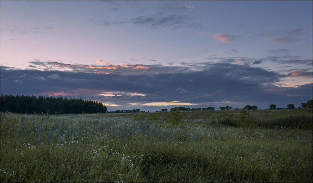 Фотографія Вечір у полі... / Farernik / photographers.ua