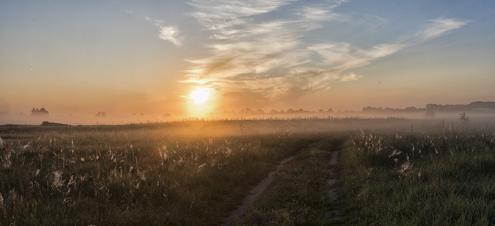 Фотографія По ранковій дорозі..."Миколині тумани" / Farernik / photographers.ua