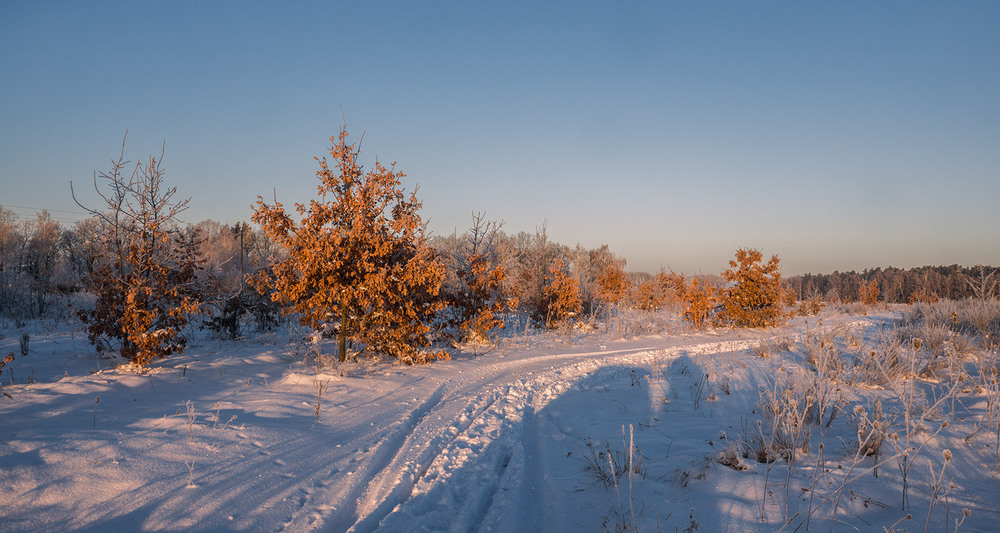 Фотографія Зимова дорога... / Farernik / photographers.ua