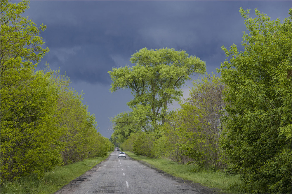 Фотографія Дорога в грозу... / Farernik / photographers.ua