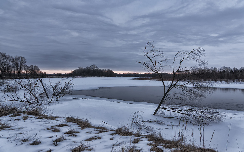 Фотографія Зимовий ранок на Десні... / Farernik / photographers.ua