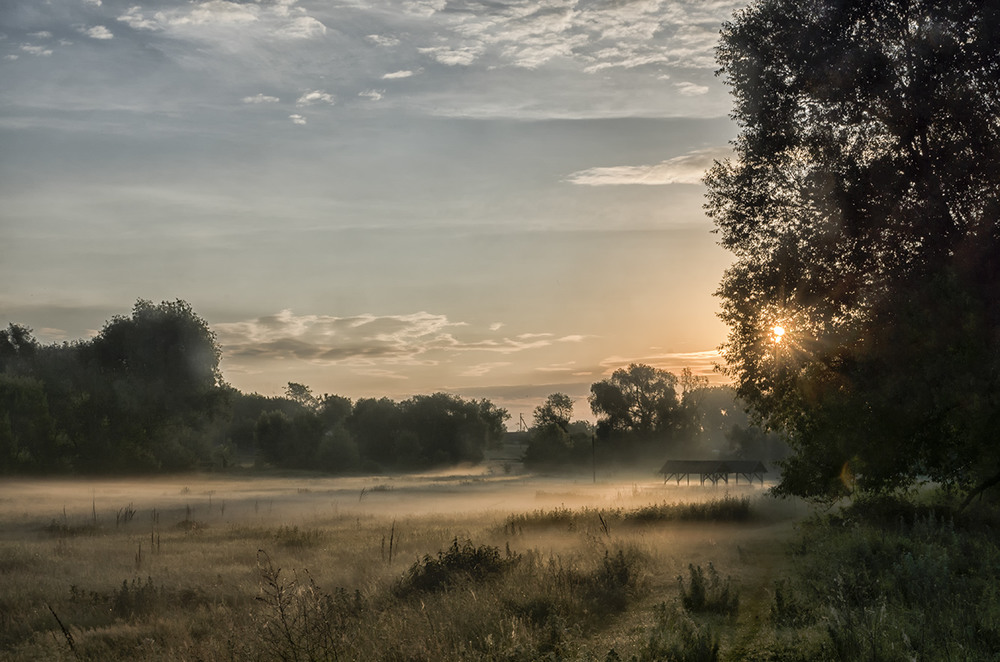 Фотографія Сонячний ранок... "Миколині тумани" / Farernik / photographers.ua