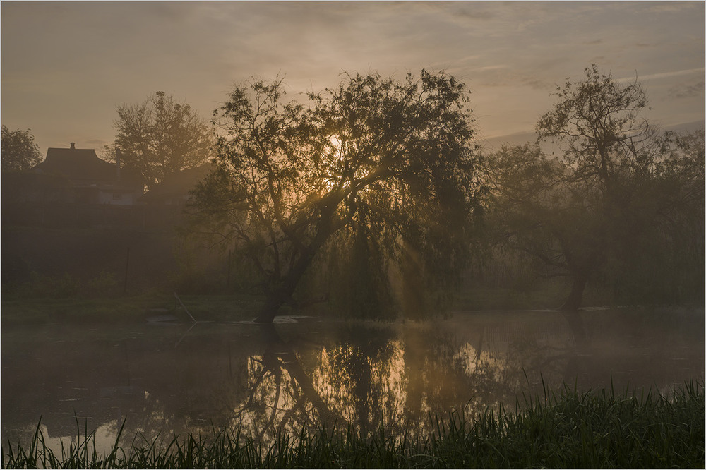 Фотографія Ранкове сонце / Farernik / photographers.ua
