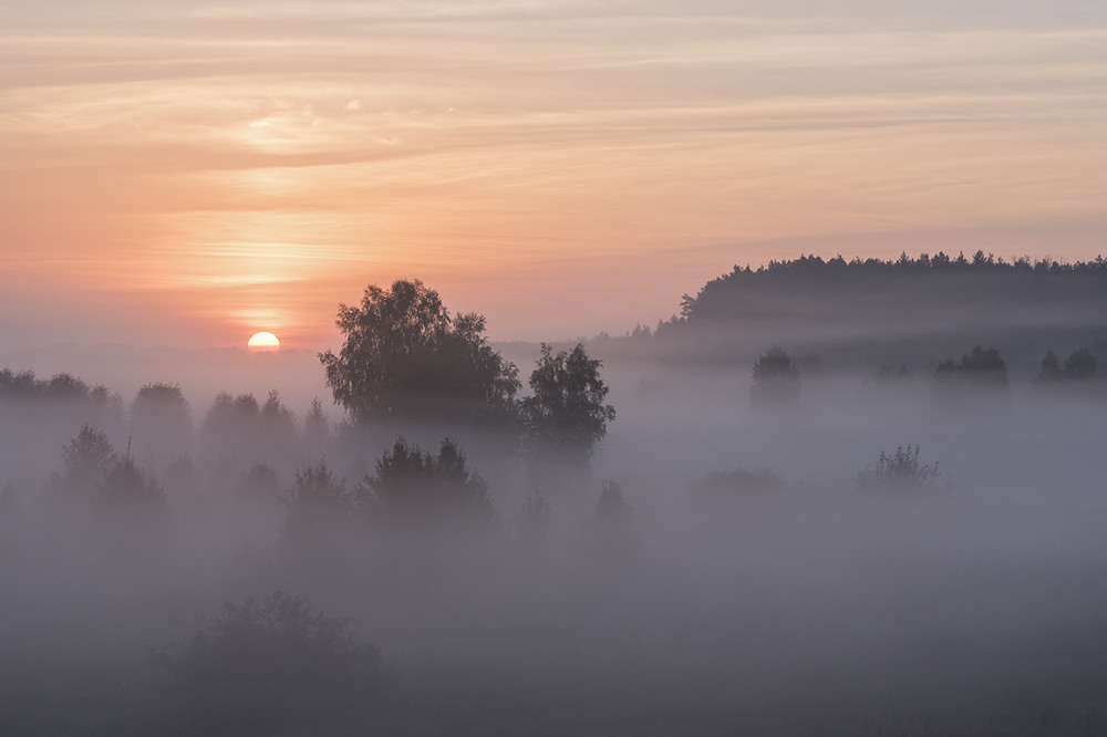 Фотографія Про "Миколині" тумани... / Farernik / photographers.ua