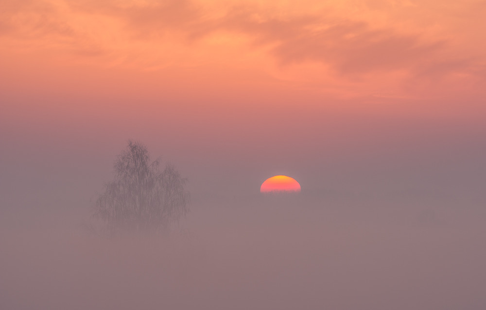Фотографія Тонуть в тумані... / Farernik / photographers.ua