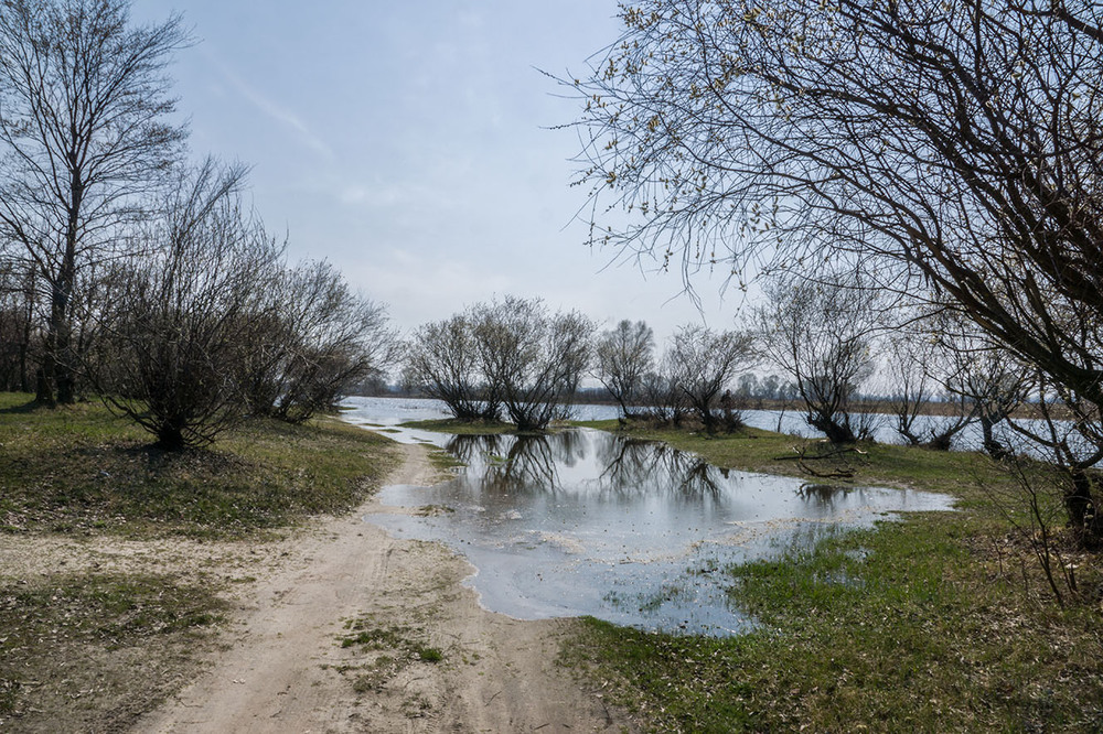 Фотографія Повінь на озері Солонецьке / Farernik / photographers.ua