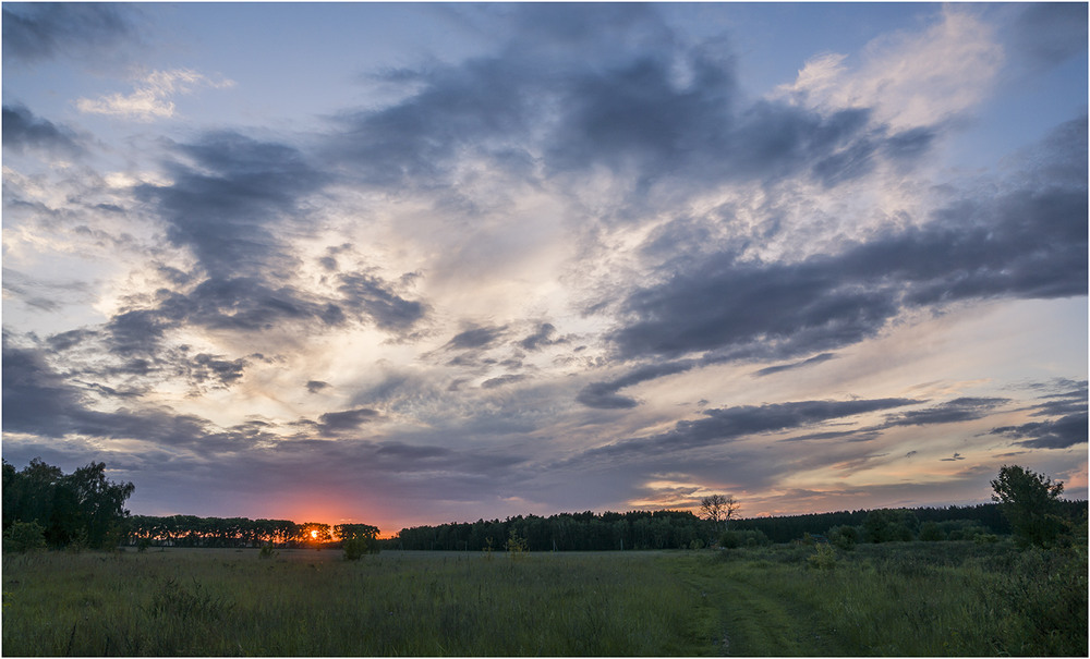 Фотографія *** / Farernik / photographers.ua