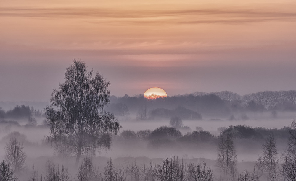Фотографія Миколині тумани... / Farernik / photographers.ua