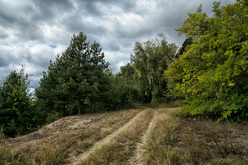 Фотографія Дорога в одну сторону... / Farernik / photographers.ua