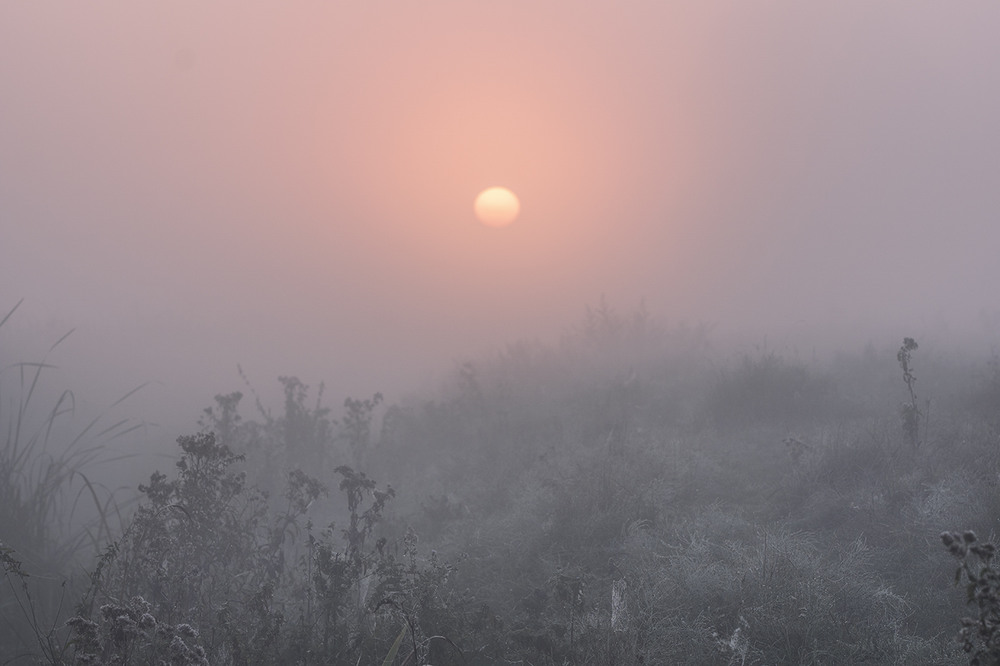 Фотографія "Миколини тумани" / Farernik / photographers.ua