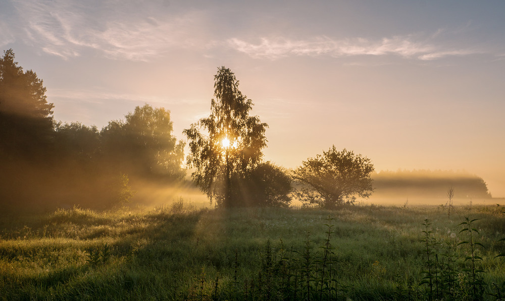 Фотографія На узліссі... / Farernik / photographers.ua