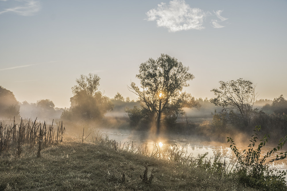 Фотографія Сонячний ранок..."Миколини тумани" / Farernik / photographers.ua