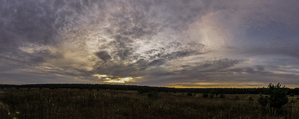 Фотографія *** / Farernik / photographers.ua