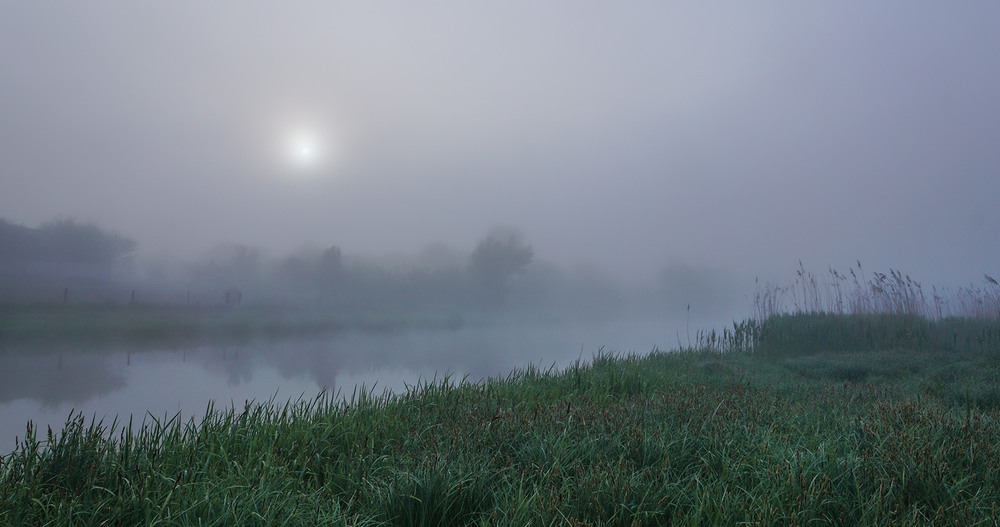 Фотографія Травневий ранок... / Farernik / photographers.ua