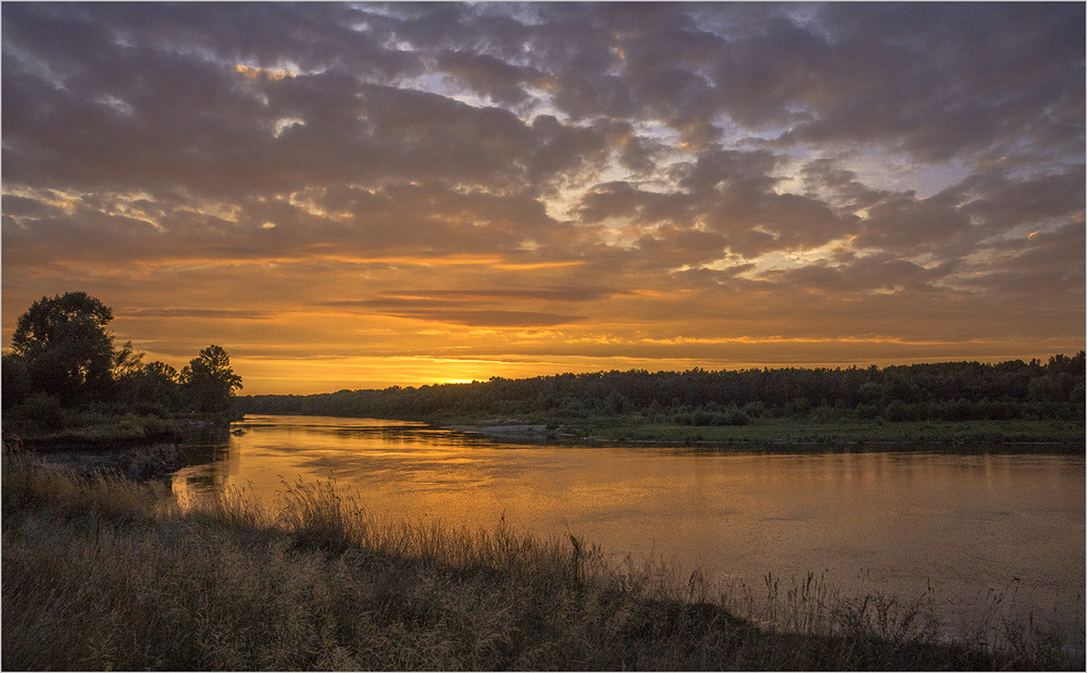 Фотографія Вечірнє золото природи... / Farernik / photographers.ua